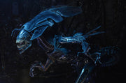 Aliens Xenomorph Queen Deluxe Action Figure (preorder Q4) - Collectables > Action Figures > toys -  Neca