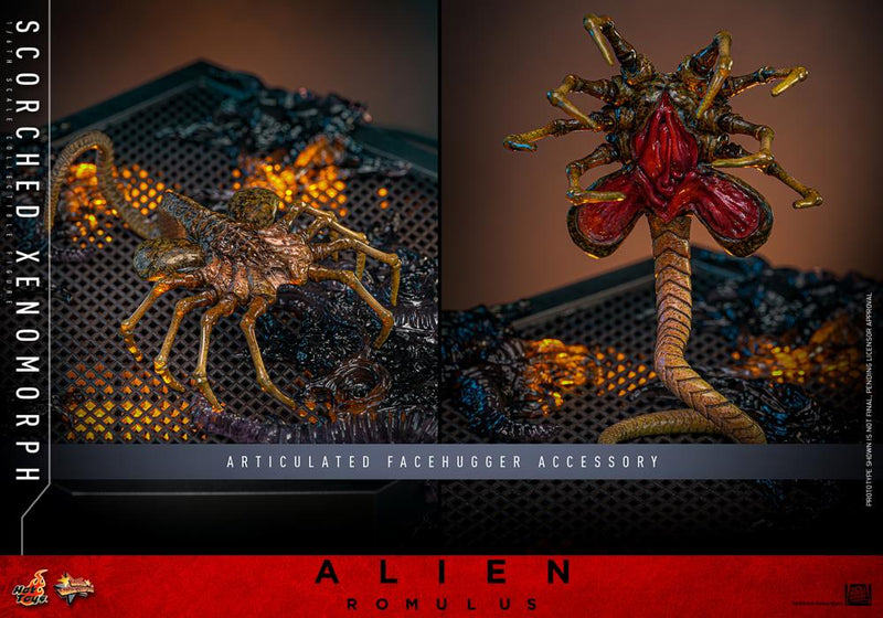 Alien: Romulus MMS784 Scorched Xenomorph 1/6th Scale Collectible Figure (preorder March 2026 ) - Collectables > Action Figures > toys -  Hot Toys