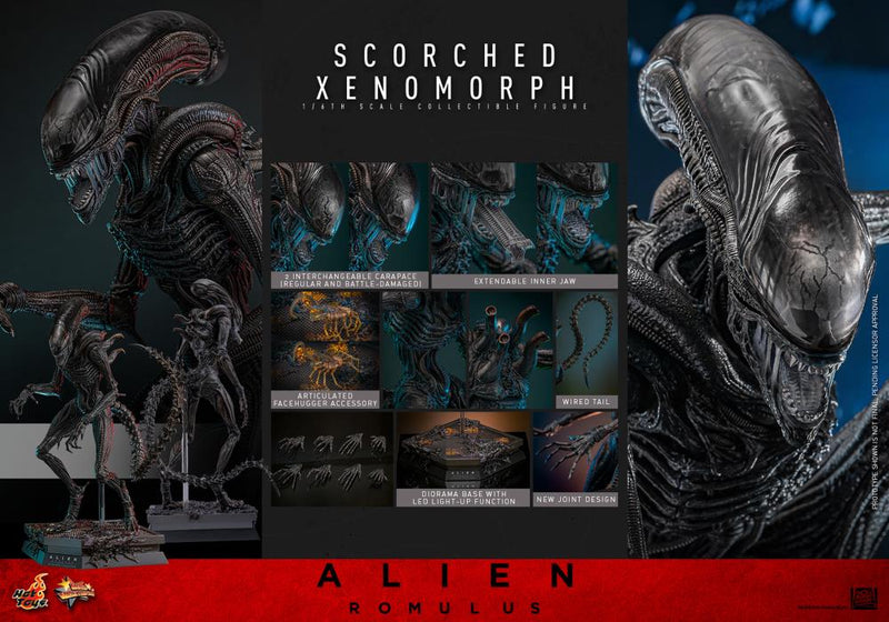 Alien: Romulus MMS784 Scorched Xenomorph 1/6th Scale Collectible Figure (preorder March 2026 ) - Collectables > Action Figures > toys -  Hot Toys