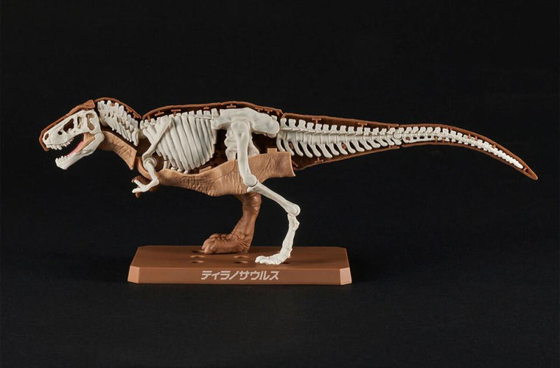 Planosaurus Tyrannosaurus Model Kit - Model Kit > Collectable > Gunpla > Hobby -  Bandai
