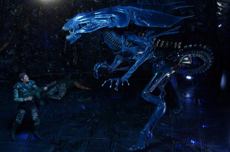 Aliens Xenomorph Queen Deluxe Action Figure (preorder Q4) - Collectables > Action Figures > toys -  Neca