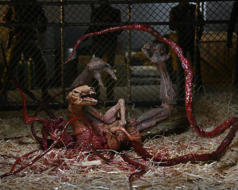 The Thing Ultimate Dog Creature Set (preorder Q4) - Collectables > Action Figures > toys -  Neca