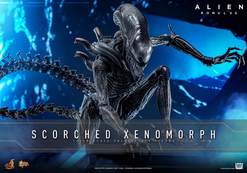 Alien: Romulus MMS784 Scorched Xenomorph 1/6th Scale Collectible Figure (preorder March 2026 ) - Collectables > Action Figures > toys -  Hot Toys