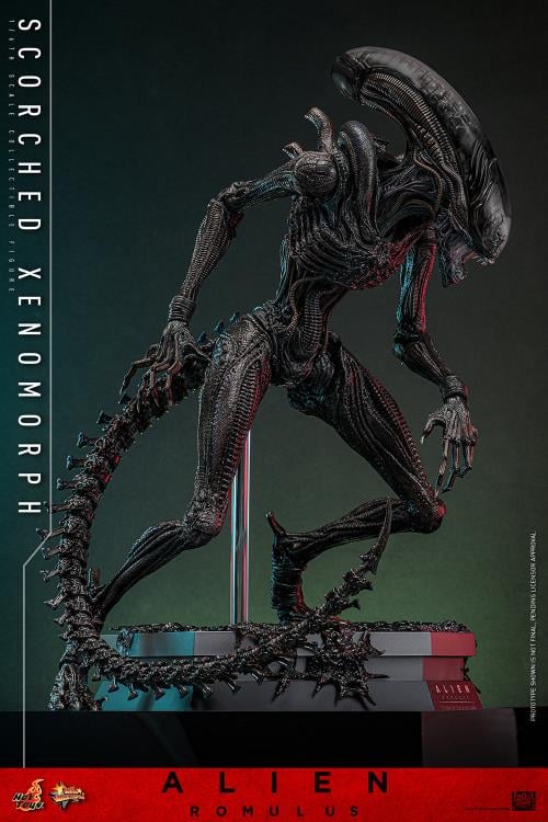 Alien: Romulus MMS784 Scorched Xenomorph 1/6th Scale Collectible Figure (preorder March 2026 ) - Collectables > Action Figures > toys -  Hot Toys