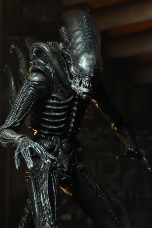 Neca - Alien - Ultimate 40th Anniversary Big Chap - Action & Toy Figures -  Neca