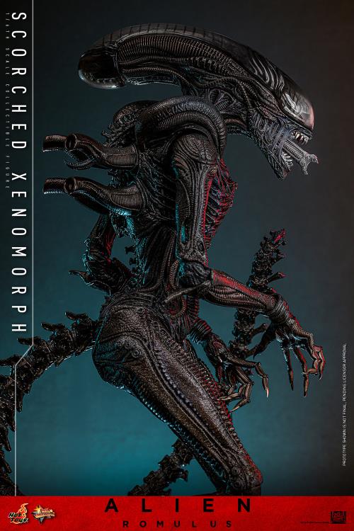 Alien: Romulus MMS784 Scorched Xenomorph 1/6th Scale Collectible Figure (preorder March 2026 ) - Collectables > Action Figures > toys -  Hot Toys