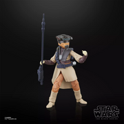 Star Wars The Black Series - Luke Skywalker (Imperial Guard) & Princess Leia Organa (Boushh) - Collectables > Action Figures > toys -  Hasbro