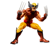 Marvel Legends Series Wolverine and Storm - Collectables > Action Figures > toys -  Hasbro