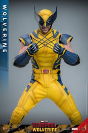 Deadpool & Wolverine - Wolverine 1/6th Scale Collectible Figure - MMS753 - Collectables > Action Figures > toys -  Hot Toys