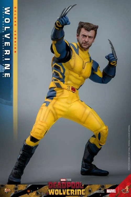 Deadpool & Wolverine - Wolverine (Deluxe Ver.) 1/6th Scale Collectible Figure - MMS754 - Collectables > Action Figures > toys -  Hot Toys
