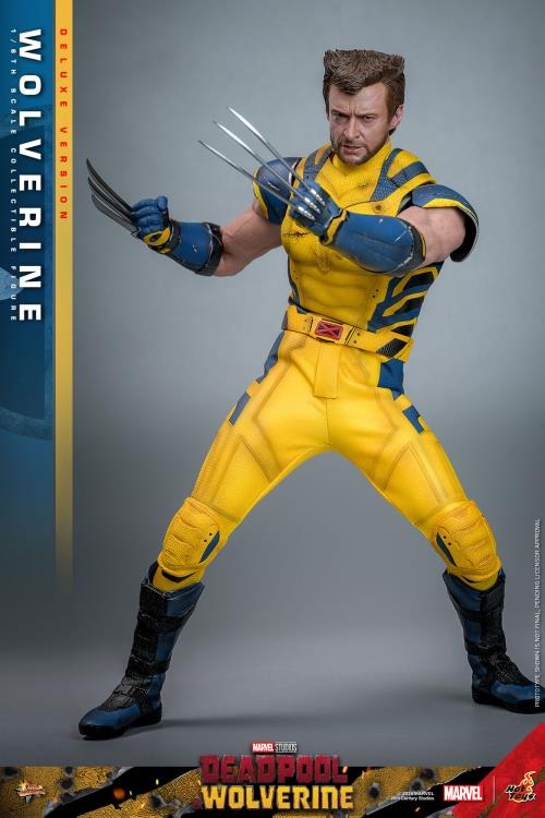 Deadpool & Wolverine - Wolverine (Deluxe Ver.) 1/6th Scale Collectible Figure - MMS754 - Collectables > Action Figures > toys -  Hot Toys