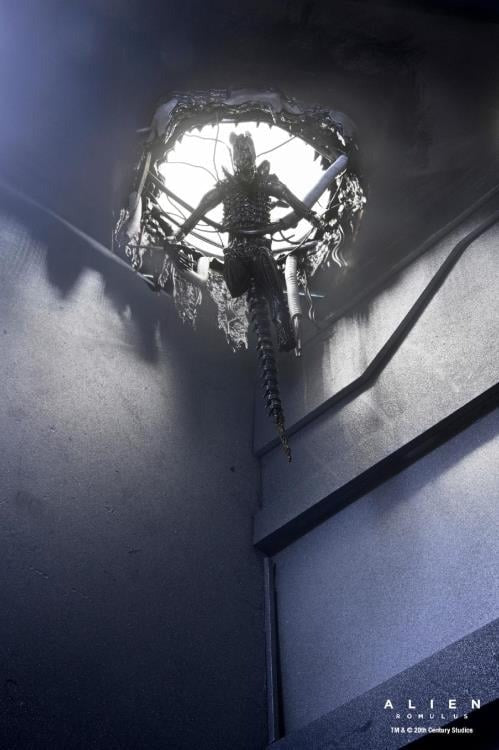 Alien: Romulus - 7" Scale Figure - Deluxe Suspended Lab Xenomorph XX121 - Collectables > Action Figures > toys -  Neca