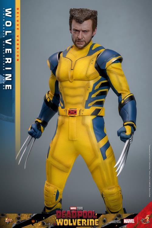 Deadpool & Wolverine - Wolverine (Deluxe Ver.) 1/6th Scale Collectible Figure - MMS754 - Collectables > Action Figures > toys -  Hot Toys