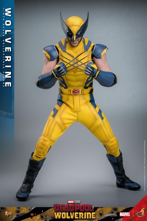 Deadpool & Wolverine - Wolverine 1/6th Scale Collectible Figure - MMS753 - Collectables > Action Figures > toys -  Hot Toys