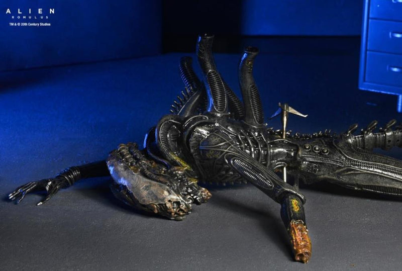 Alien: Romulus - 7" Scale Figure - Deluxe Suspended Lab Xenomorph XX121 - Collectables > Action Figures > toys -  Neca