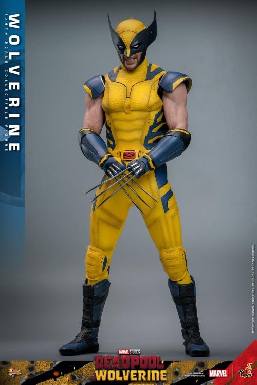 Deadpool & Wolverine - Wolverine 1/6th Scale Collectible Figure - MMS753 - Collectables > Action Figures > toys -  Hot Toys