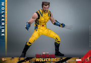 Deadpool & Wolverine - Wolverine (Deluxe Ver.) 1/6th Scale Collectible Figure - MMS754 - Collectables > Action Figures > toys -  Hot Toys