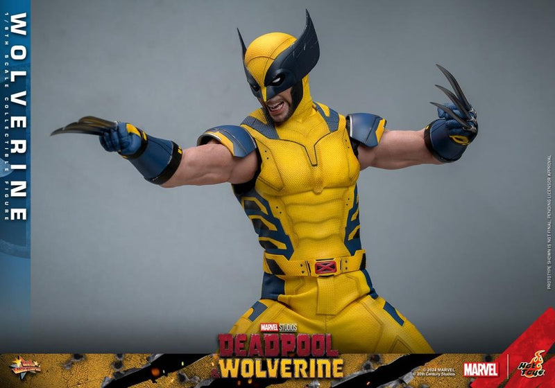 Deadpool & Wolverine - Wolverine 1/6th Scale Collectible Figure - MMS753 - Collectables > Action Figures > toys -  Hot Toys