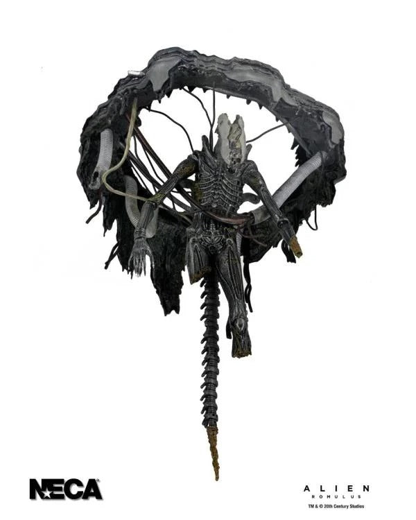 Alien: Romulus - 7" Scale Figure - Deluxe Suspended Lab Xenomorph XX121 - Collectables > Action Figures > toys -  Neca