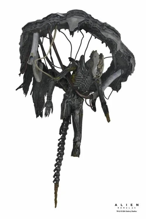 Alien: Romulus - 7" Scale Figure - Deluxe Suspended Lab Xenomorph XX121 - Collectables > Action Figures > toys -  Neca