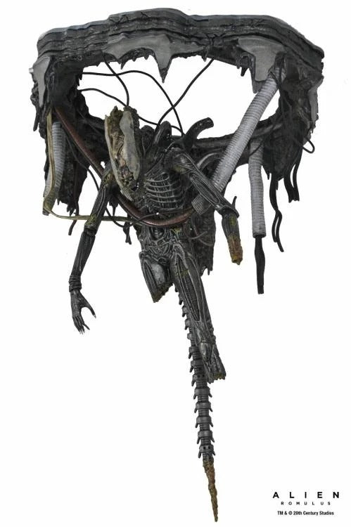 Alien: Romulus - 7" Scale Figure - Deluxe Suspended Lab Xenomorph XX121 - Collectables > Action Figures > toys -  Neca