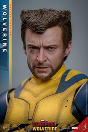 Deadpool & Wolverine - Wolverine (Deluxe Ver.) 1/6th Scale Collectible Figure - MMS754 - Collectables > Action Figures > toys -  Hot Toys