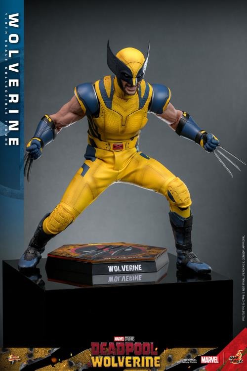 Deadpool & Wolverine - Wolverine 1/6th Scale Collectible Figure - MMS753 - Collectables > Action Figures > toys -  Hot Toys