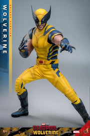 Deadpool & Wolverine - Wolverine (Deluxe Ver.) 1/6th Scale Collectible Figure - MMS754 - Collectables > Action Figures > toys -  Hot Toys