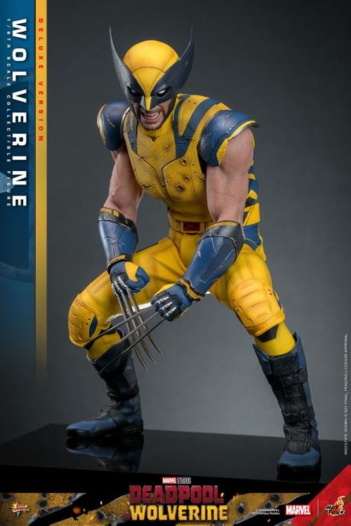 Deadpool & Wolverine - Wolverine (Deluxe Ver.) 1/6th Scale Collectible Figure - MMS754 - Collectables > Action Figures > toys -  Hot Toys