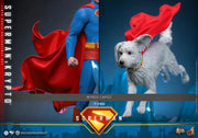 Superman (2025) - Superman & Krypto 1/6th Scale Collectible Figure Set - MMS812 - Collectables > Action Figures > toys -  Hot Toys