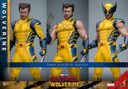 Deadpool & Wolverine - Wolverine (Deluxe Ver.) 1/6th Scale Collectible Figure - MMS754 - Collectables > Action Figures > toys -  Hot Toys