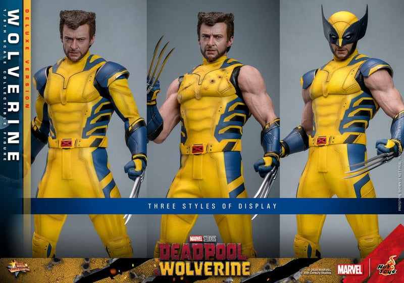Deadpool & Wolverine - Wolverine (Deluxe Ver.) 1/6th Scale Collectible Figure - MMS754 - Collectables > Action Figures > toys -  Hot Toys