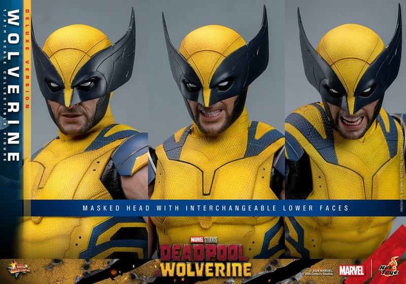 Deadpool & Wolverine - Wolverine (Deluxe Ver.) 1/6th Scale Collectible Figure - MMS754 - Collectables > Action Figures > toys -  Hot Toys
