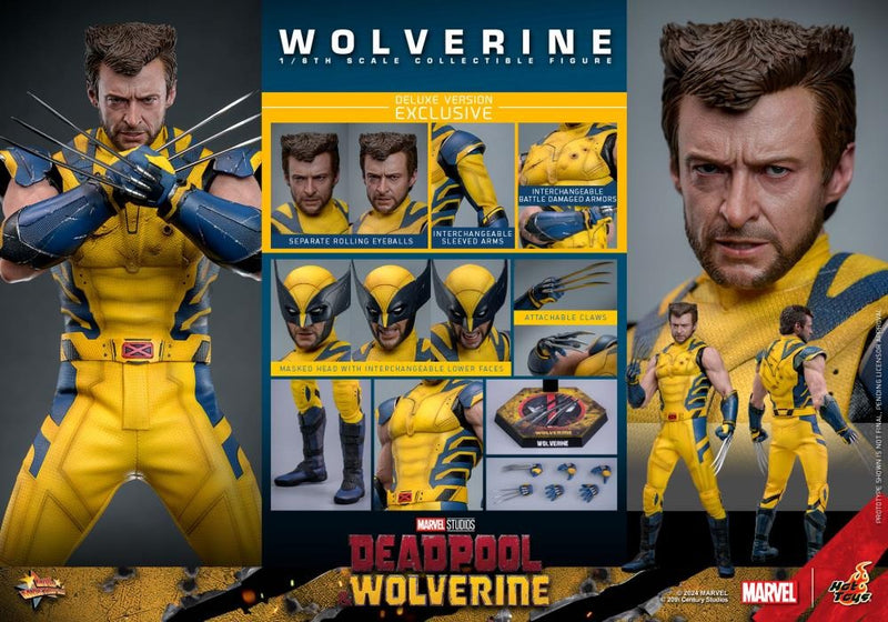 Deadpool & Wolverine - Wolverine (Deluxe Ver.) 1/6th Scale Collectible Figure - MMS754 - Collectables > Action Figures > toys -  Hot Toys