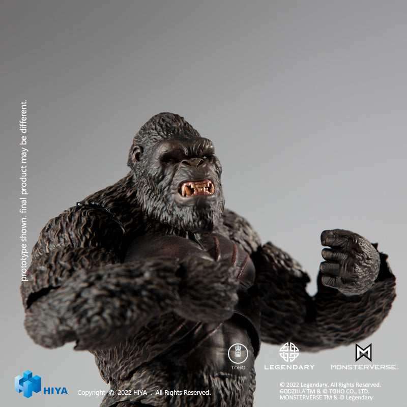 Hiya King Kong - Godzilla vs. Kong -  EXQUISITE BASIC series (preorder) -  -  HIYA TOYS