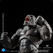 Hiya King Kong - Godzilla vs. Kong -  EXQUISITE BASIC series (preorder) -  -  HIYA TOYS