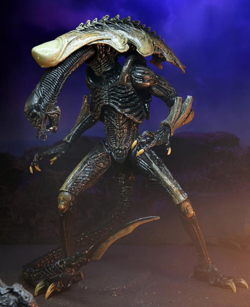 Alien vs. Predator Aliens Set of 3 Figures Movie Deco  (Preorder) - Action figure -  Neca