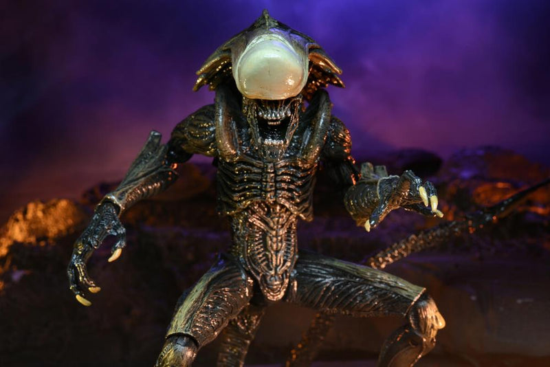 Alien vs. Predator Chrysalis (Movie Deco) Figure (preorder) - Action & Toy Figures -  neca