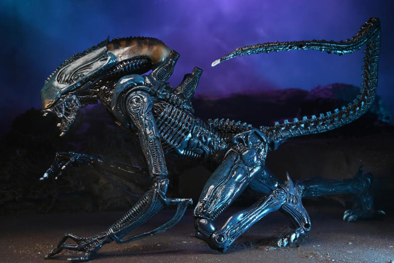Alien vs. Predator Arachnoid (Movie Deco) Figure (preorder) - Action & Toy Figures -  Neca
