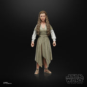 Star Wars The Black Series Princess Leia (Ewok Village) (preorder Q4) - Action & Toy Figures -  Hasbro