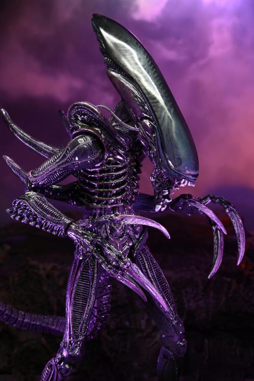 Alien vs. Predator Razor Claws (Movie Deco) Figure (preorder) - Action & Toy Figures -  Neca