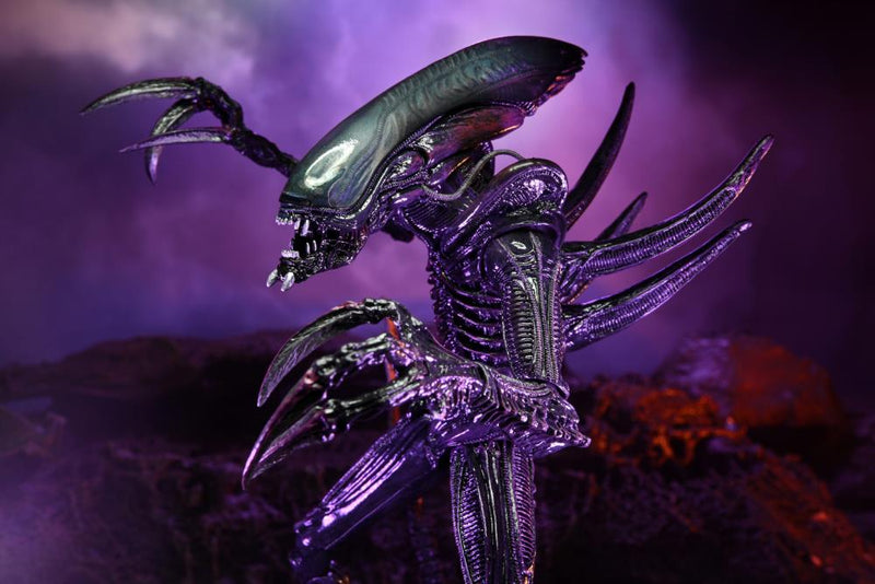 Alien vs. Predator Razor Claws (Movie Deco) Figure (preorder) - Action & Toy Figures -  Neca