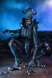Alien vs. Predator Aliens Set of 3 Figures Movie Deco  (Preorder) - Action figure -  Neca