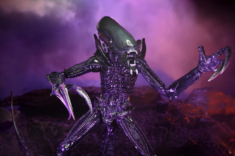 Alien vs. Predator Aliens Set of 3 Figures Movie Deco  (Preorder) - Action figure -  Neca