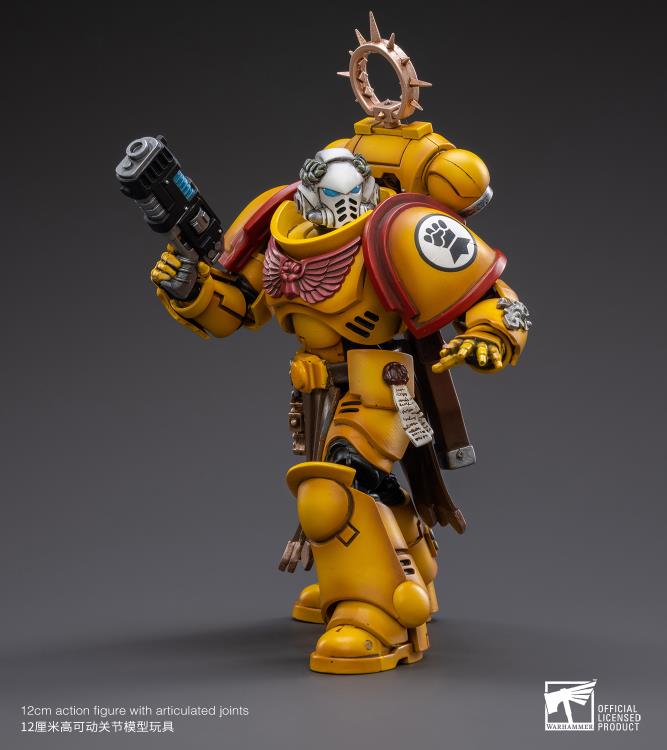 Warhammer 40K - Imperial Fists - Veteran Brother Thracius - Collectables > Action Figures > toys -  Joy Toy