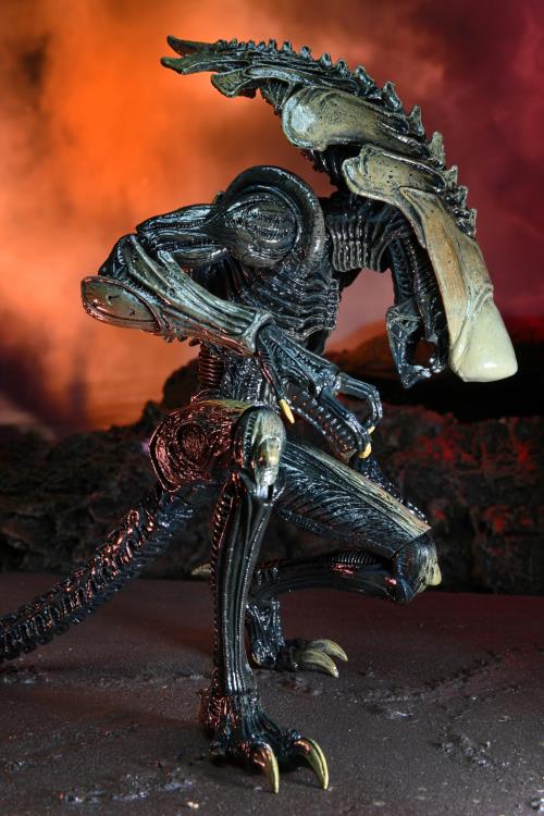 Alien vs. Predator Aliens Set of 3 Figures Movie Deco  (Preorder) - Action figure -  Neca
