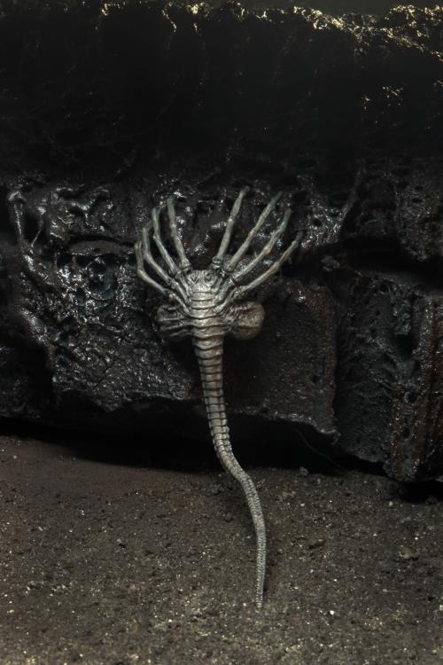 Neca Alien 40th Anniversary Giger's Alien - Action & Toy Figures -  Neca