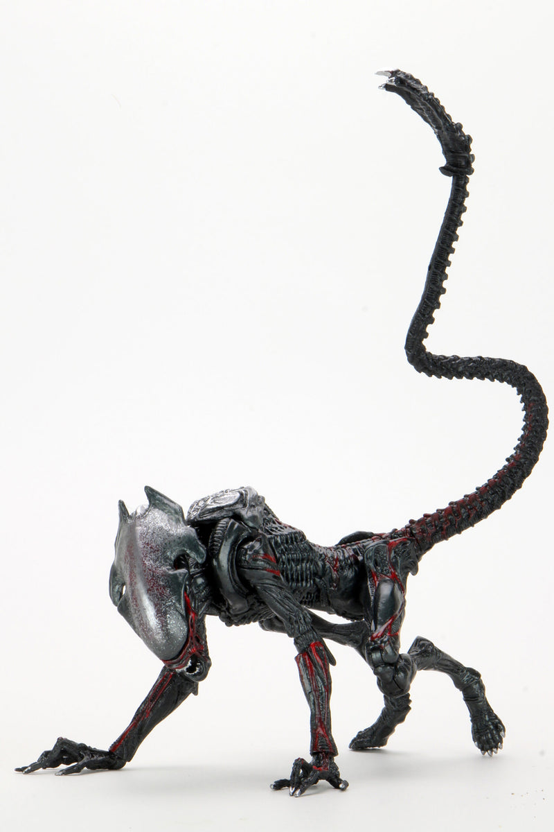 Alien  Night Cougar Kenner Tribute Ultimate (preorder) - Action figure -  Neca