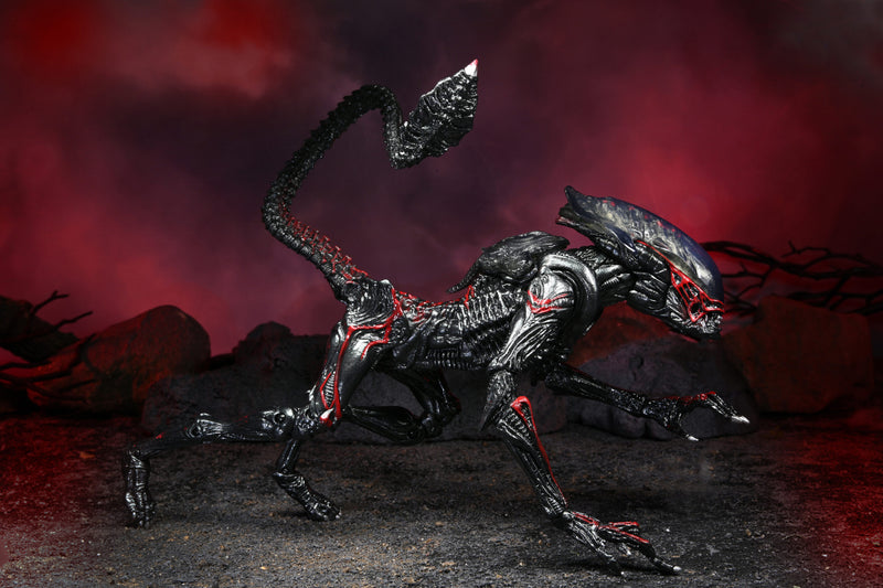 Alien  Night Cougar Kenner Tribute Ultimate (preorder) - Action figure -  Neca