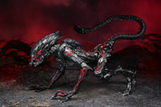 Alien  Night Cougar Kenner Tribute Ultimate (preorder) - Action figure -  Neca